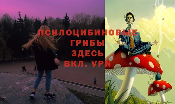 PSILOCYBIN Бугульма